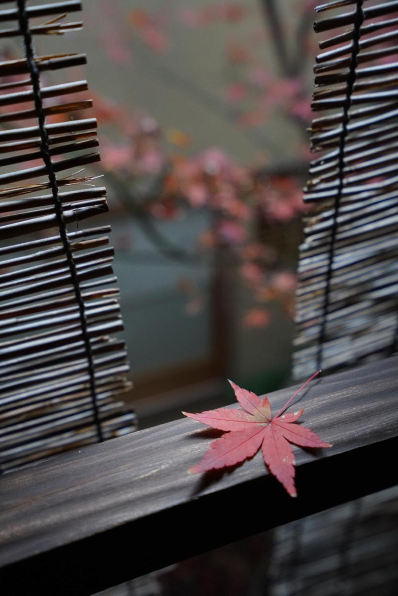 קיוטו Ryokan Tori מראה חיצוני תמונה